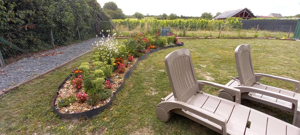 Hebergement Sarment Du Veron Chinon Villa Beaumont-en-Veron Luaran gambar